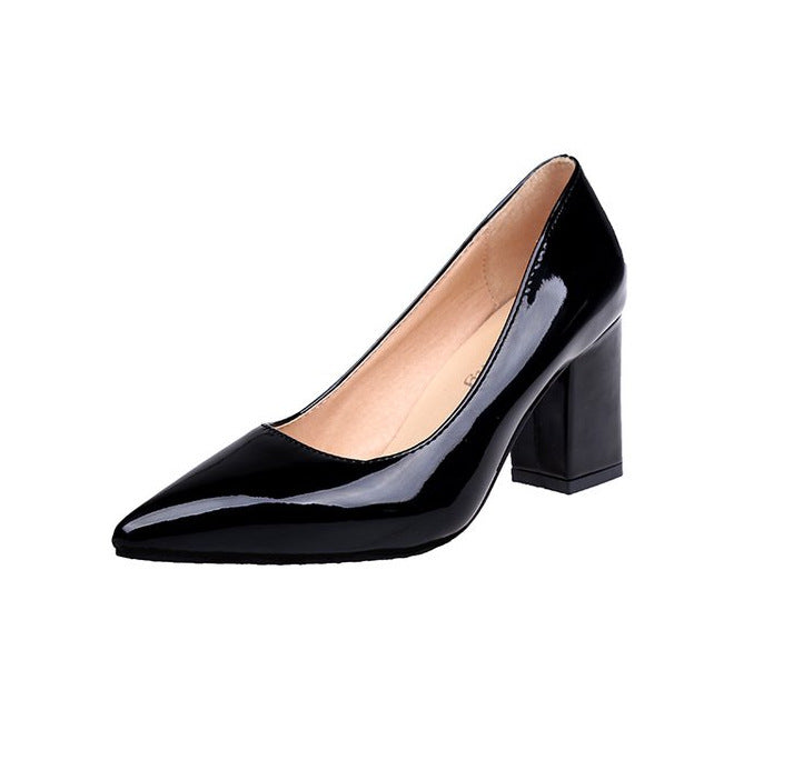 Elegantes zapatos de tacón de punta de Isabella Sol.
