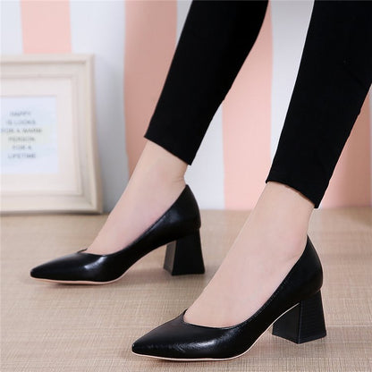 Elegantes zapatos de tacón de punta de Isabella Sol.