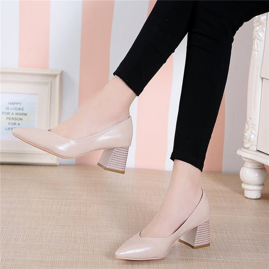 Elegantes zapatos de tacón de punta de Isabella Sol.