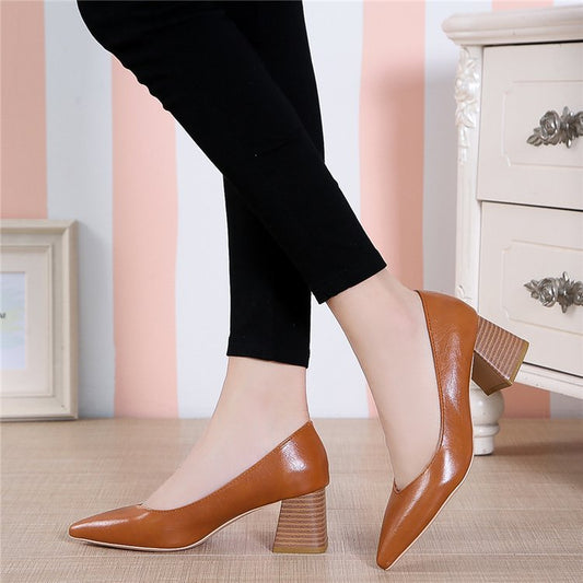 Elegantes zapatos de tacón de punta de Isabella Sol.