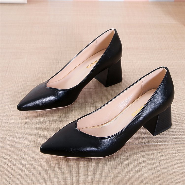 Elegantes zapatos de tacón de punta de Isabella Sol.