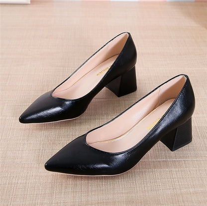 Elegantes zapatos de tacón de punta de Isabella Sol.