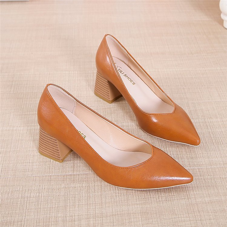 Chic Pointed Toe Heels by Isabella Sol