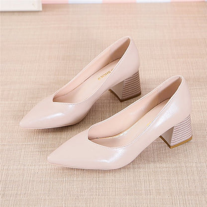 Elegantes zapatos de tacón de punta de Isabella Sol.